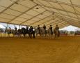 Alquiler de carpas Córdoba